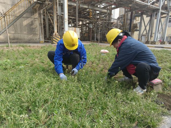 3月22日，行政保衛(wèi)部馬師傅和孫師傅在道路兩旁清除雜草。.jpg