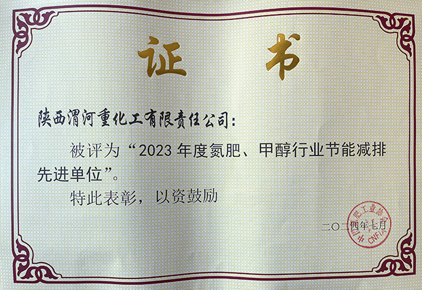 2024年7月重化工公司獲得氮肥協(xié)會(huì)頒發(fā)的節(jié)能減排先進(jìn)單位.jpg